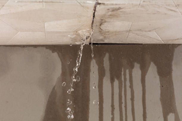 Professional Flood Damage Cleanup technician working in Holly Pond, AL